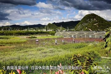 貴陽蓬萊仙界·白雲休閑農業旅遊景區照片