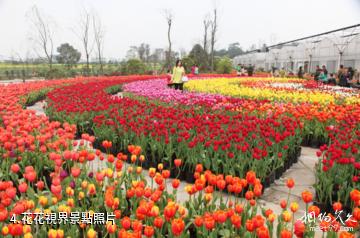 瀘縣龍橋文化生態園-花花視界照片