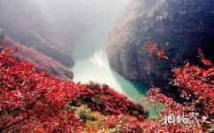 重庆巫山小三峡旅游攻略之巫山红叶节