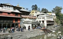 加德滿都帕斯帕提那寺旅遊攻略之神廟