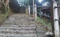 紫金南母寺旅游攻略之登山石梯