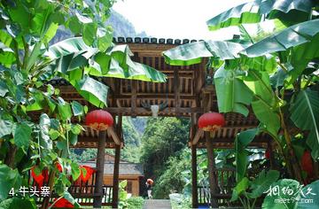 彭水阿依河风景区-牛头寨照片