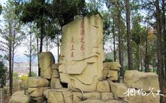 惠亭湖国家水利旅游攻略之假山碑石