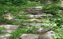 蓝田王顺山国家森林公园旅游攻略之登山石阶