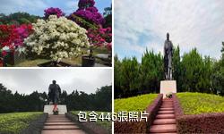 深圳蓮花山公園驢友相冊