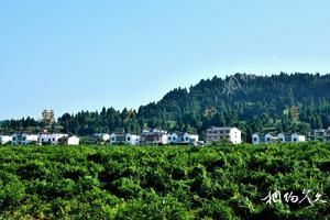 四川资阳安岳岳阳旅游景点大全