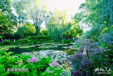 法國吉維尼莫奈花園-水園照片
