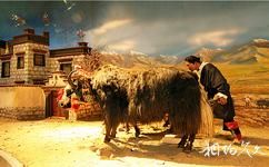 西藏牦牛博物馆旅游攻略之场景