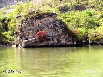 门头沟珍珠湖风景区-峭壁红枫照片