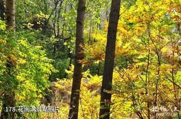 泰安徂徠山國家森林公園-花園溝照片