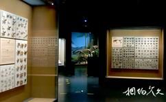 天津自然博物馆旅游攻略之生物标本