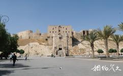 敘利亞阿勒頗古城旅遊攻略之阿勒頗衛城