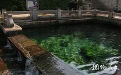 济南环城河泉水景观带旅游攻略之琵琶泉