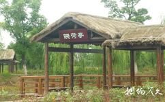 蘇州太湖國家濕地公園旅遊攻略之映荷亭