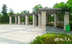 玉环大麦屿庆澜公园旅游攻略之广场