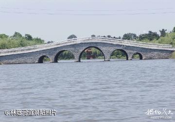 日照海濱國家森林公園-林蔭河道照片