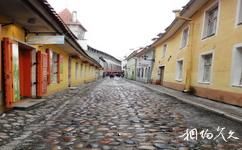 爱沙尼亚塔林老城旅游攻略之圆石街