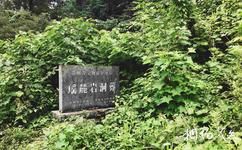 茂蘭瑤麓青瑤古風園旅遊攻略之洞葬