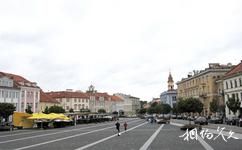 立陶宛維爾紐斯市旅遊攻略之市政廳廣場
