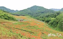 西安周至秦岭国家植物园旅游攻略之花卉引种试验区