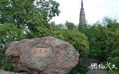 杭州宝石山旅游攻略之寿星石