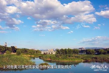 河南黃河濕地國家級自然保護區照片