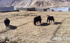 西藏科迦寺旅遊攻略之科迦村