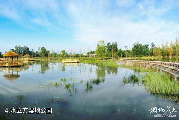 温江幸福田园-水立方湿地公园照片