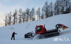 内蒙古阿尔山滑雪场旅游攻略之压雪车