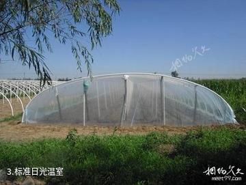 濮阳世锦园-标准日光温室照片