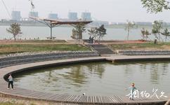 东营鸣翠湖湿地旅游攻略之风景区
