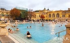 布达佩斯城市公园旅游攻略之塞切尼温泉