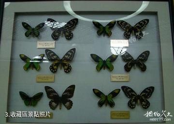楊凌昆蟲博物館-收藏區照片