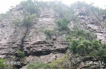 桂平龙潭国家森林公园-悬崖峭壁照片