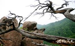 丹東鳳城雞冠山旅遊攻略之奇峰異石
