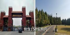 濮陽濮上園景區驢友相冊