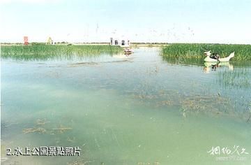 臨澤雙泉湖-水上公園照片