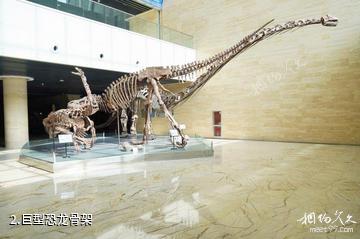 淄博傅山自然地质博物馆-巨型恐龙骨架照片
