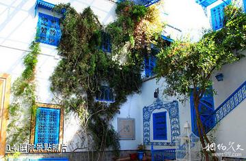 突尼西亞藍白小鎮-庭院照片