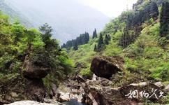 彭州寶山旅遊攻略之原始森林