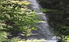 六盘水玉舍国家森林公园旅游攻略之瀑布