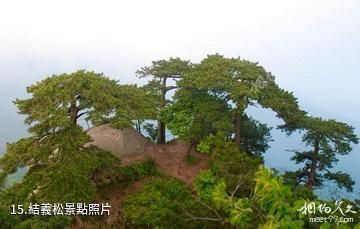 岳西妙道山風景區-結義松照片