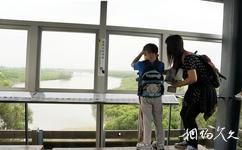 香港湿地公园旅游攻略之观景廊