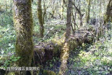 四川王朗國家級自然保護區-自然保護區照片