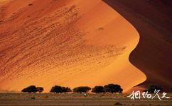 纳米比亚45号沙丘旅游攻略之沙丘