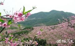陕西石门山国家森林公园旅游攻略之桃花川