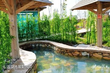 大慶鶴鳴湖濕地溫泉風景區-溫泉池照片