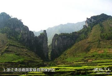 浙江清凉峰国家级自然保护区照片