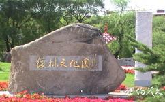 黑龍江綏棱林業局生態文化旅遊攻略之綏林文化園