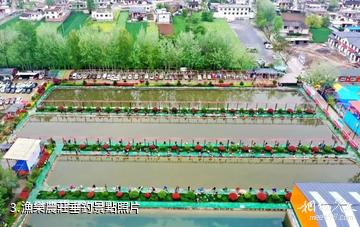 成縣陳院生態園景區-漁樂農莊垂釣照片